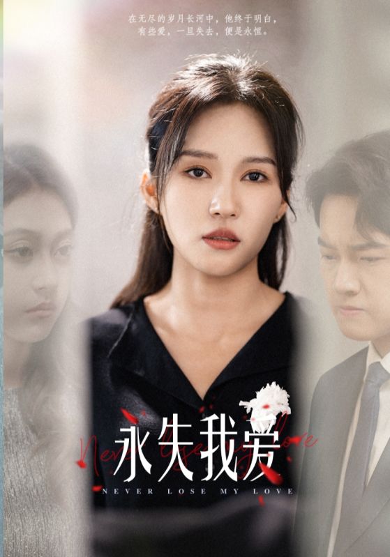 永失我爱的海报
