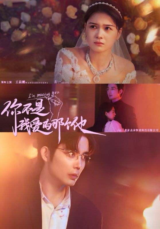 你不是我爱的那个他的海报