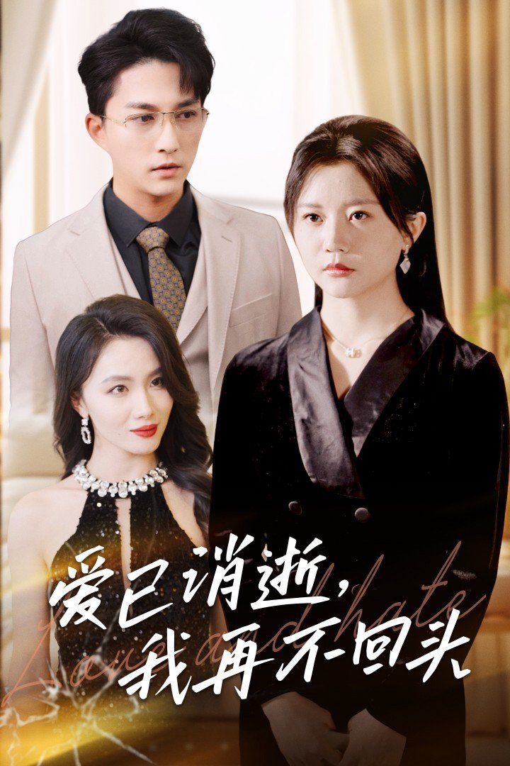 爱已消逝我再不回头的海报