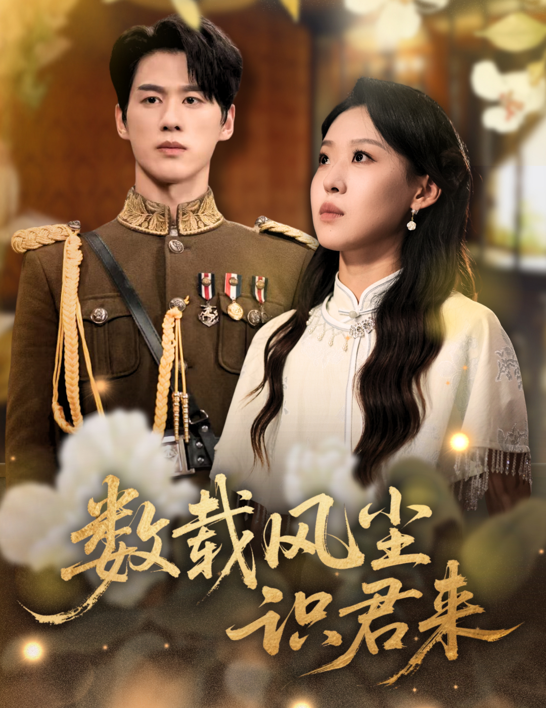 数载风尘识君来的海报