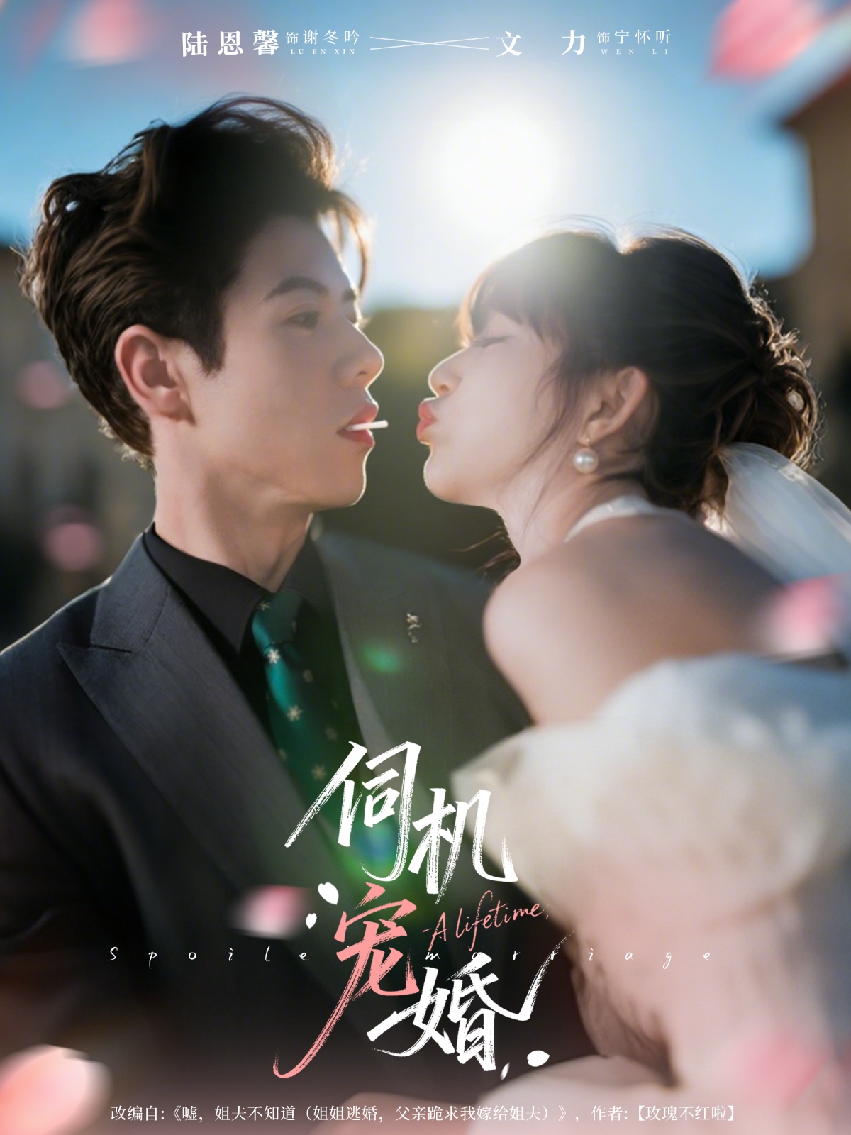 伺机宠婚的海报