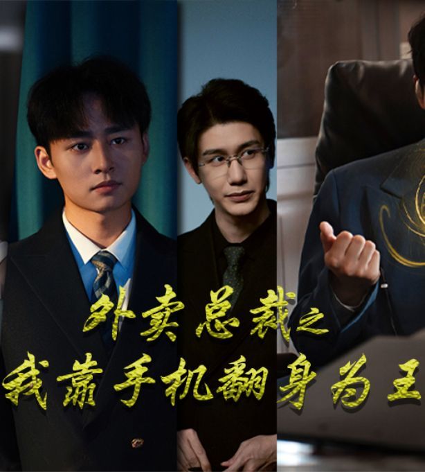 外卖总裁之我靠手机翻身为王的海报