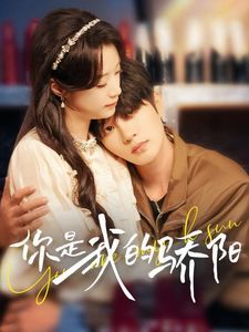 你是我的骄阳的海报