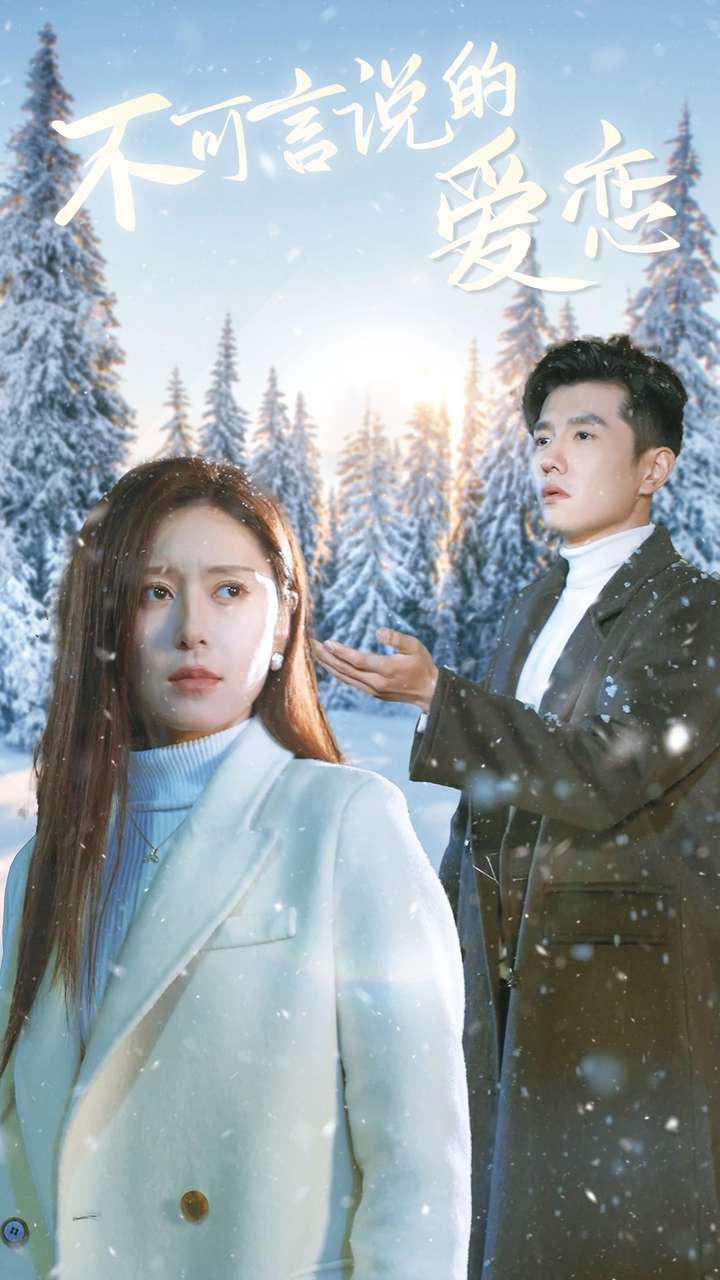 不可言说的爱恋的海报