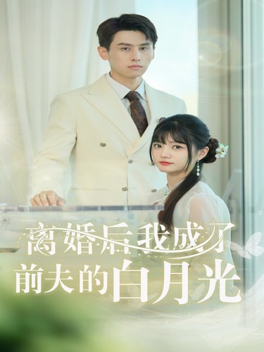 离婚后我成了前夫的白月光的海报