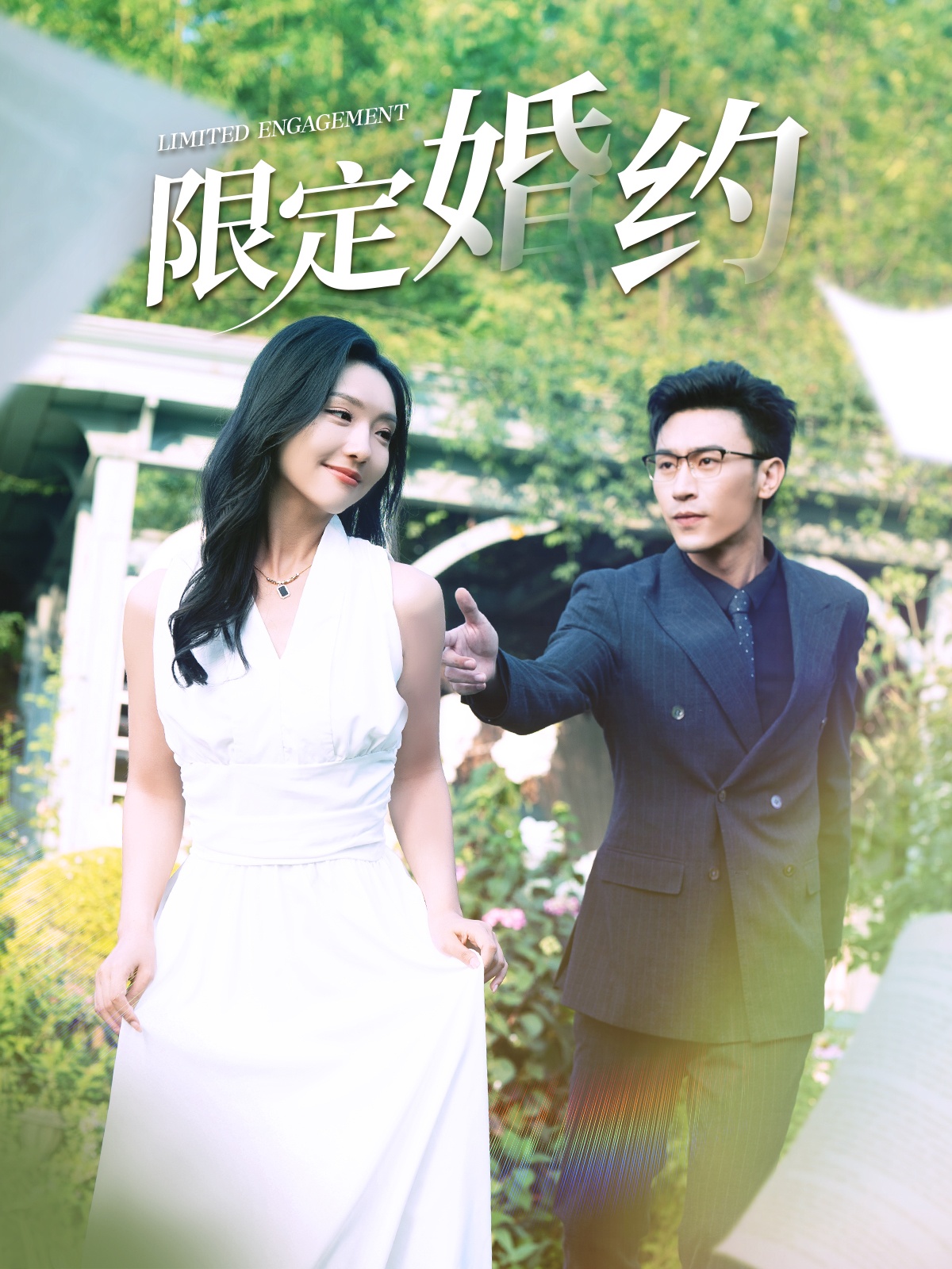 限定婚约的海报