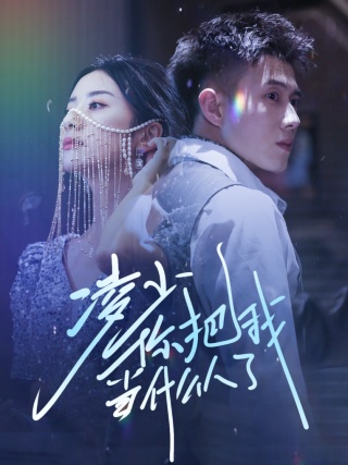 凌少你把我当什么人了的海报