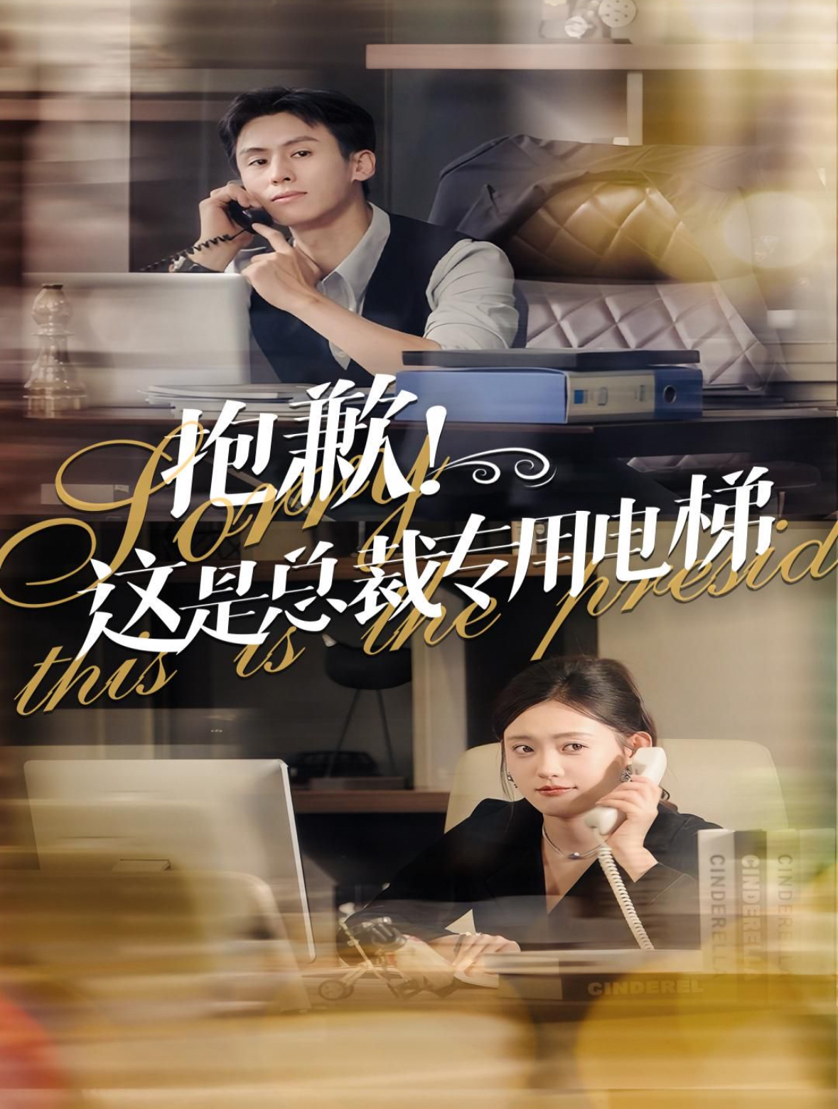 抱歉这是总裁专用电梯的海报