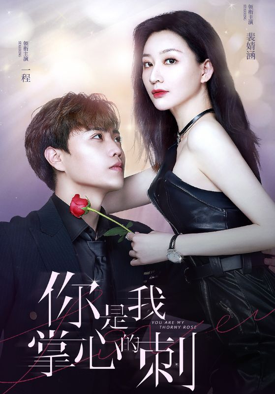 你是我掌心的刺的海报