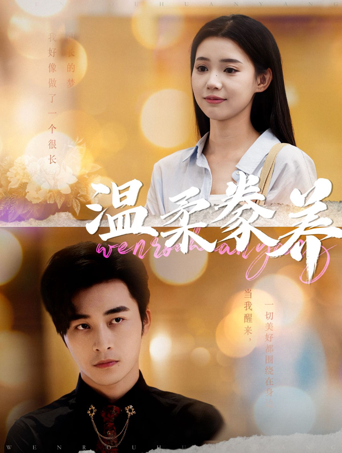 温柔豢养的海报