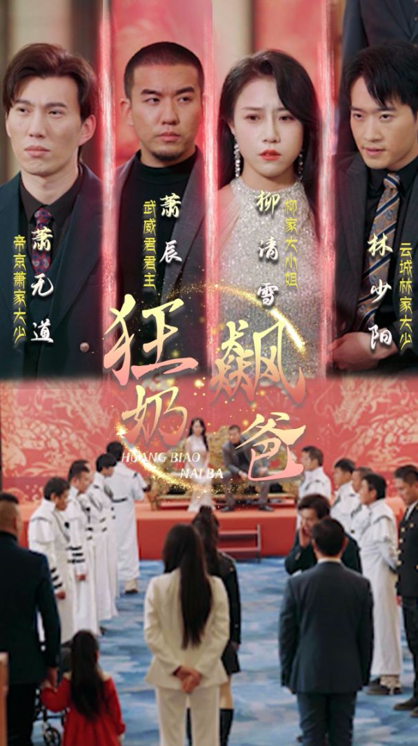 狂飙奶爸的海报