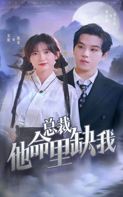 总裁他命里缺我的海报