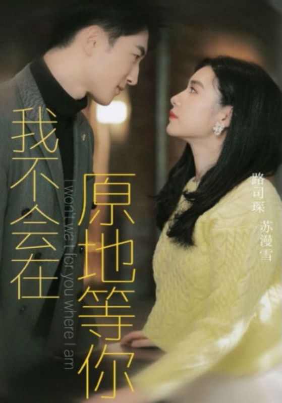 我不会在原地等你的海报