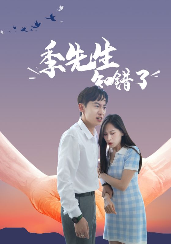 季先生知错了的海报