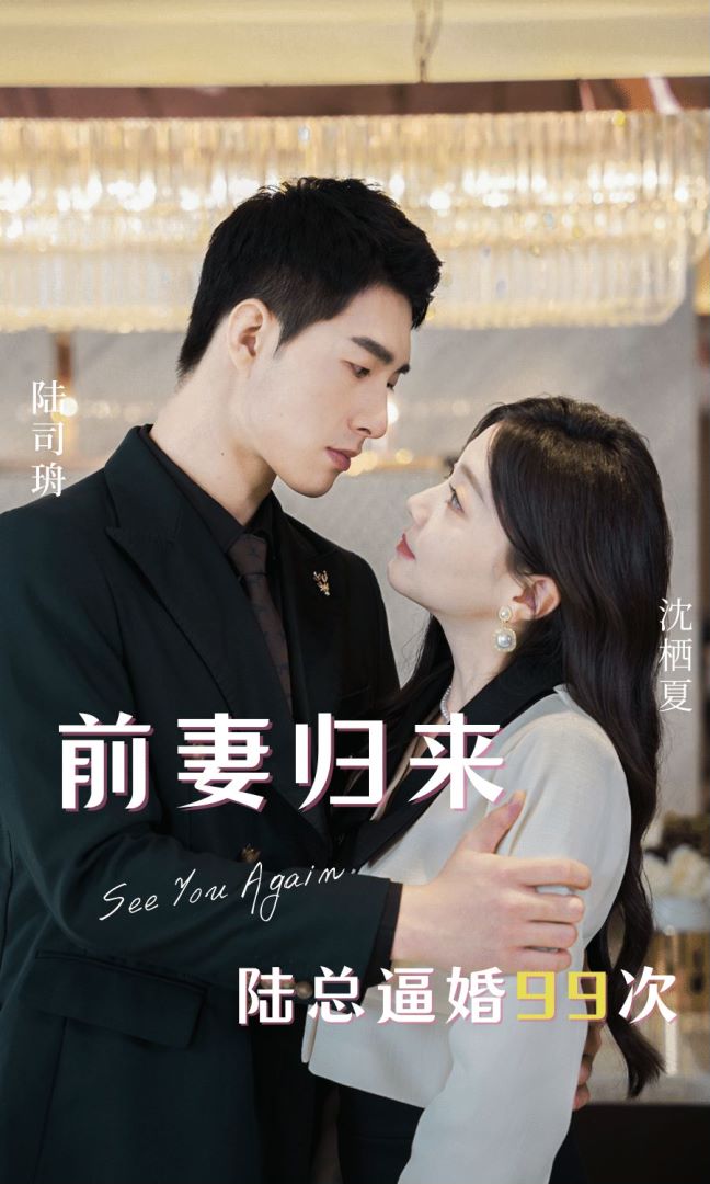 前妻归来陆总逼婚99次的海报