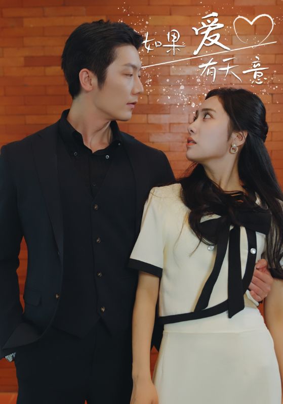 如果爱有天意的海报