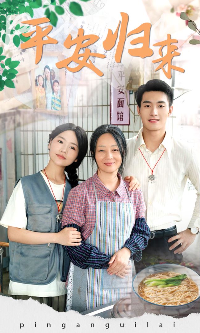 平安归来的海报