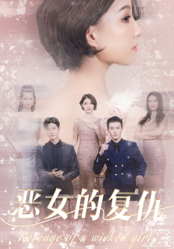 恶女的复仇的海报