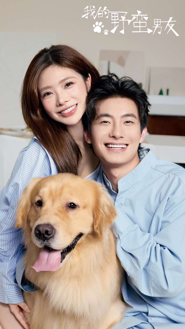 我的野蛮男友的海报