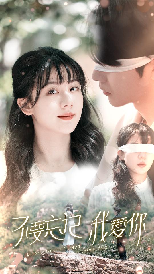 不要忘记我爱你的海报