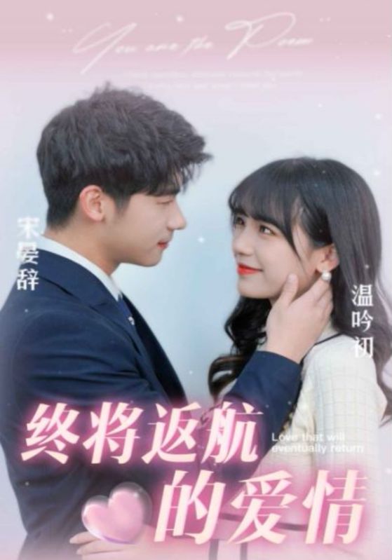 终将返航的爱情的海报