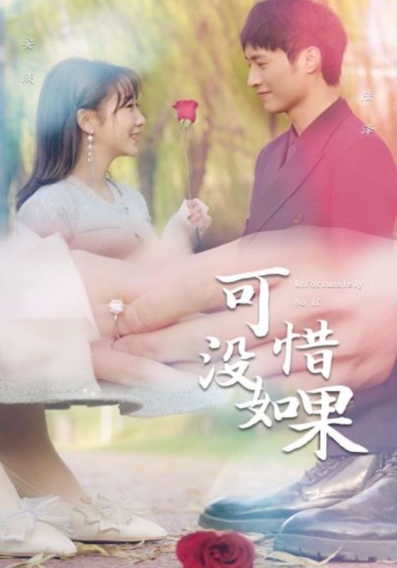 可惜没如果的海报