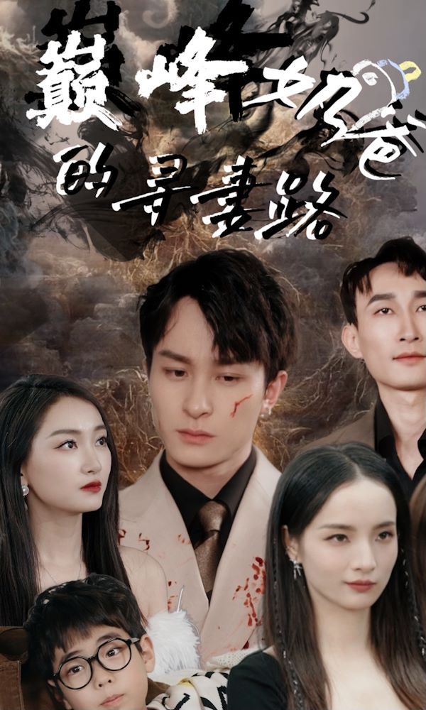 巅峰奶爸的寻妻路的海报