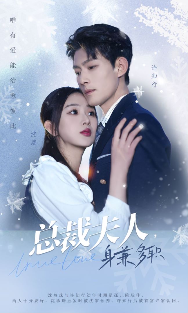 总裁夫人，身兼多职的海报