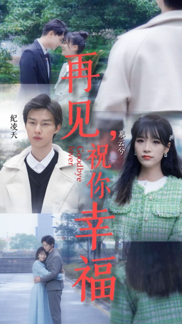 再见祝你幸福的海报