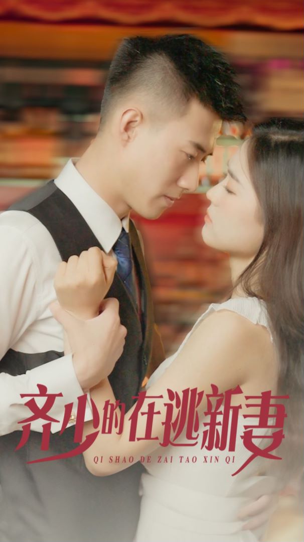 齐少的在逃新妻的海报