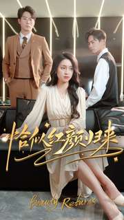 恰似红颜归来的海报