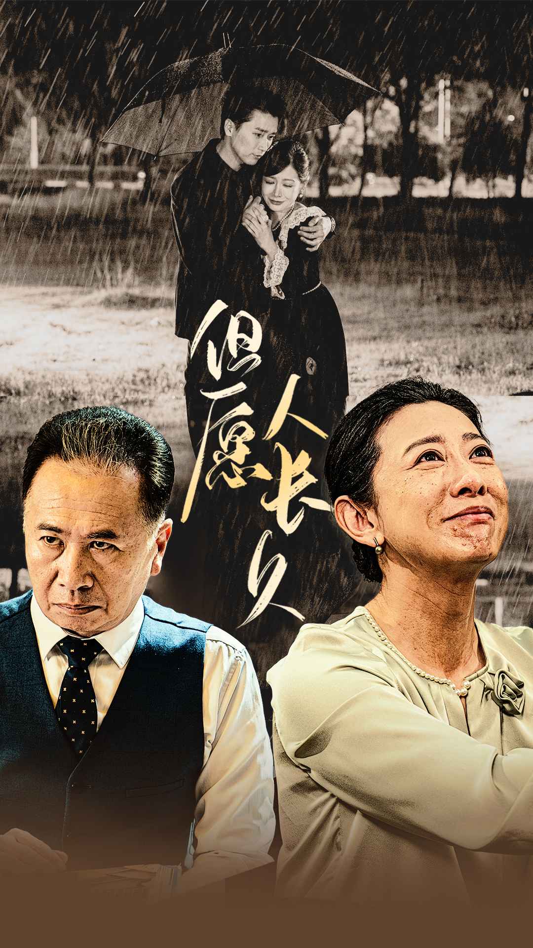 但愿人长久的海报