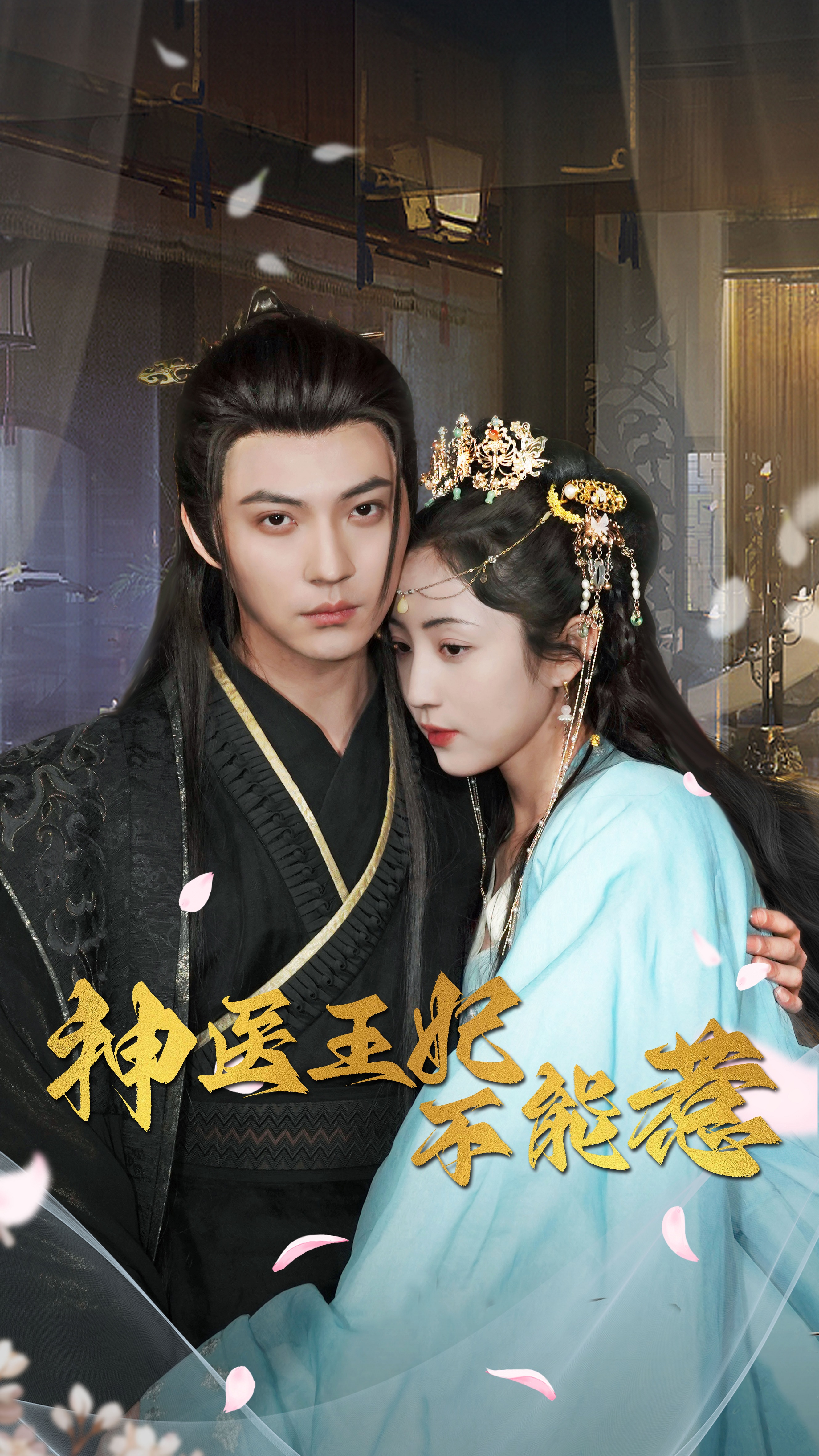 神医王妃不能惹的海报