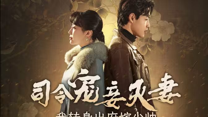 司令宠妾灭妻，我转身出府嫁少帅的海报