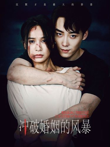冲破婚姻的风暴的海报