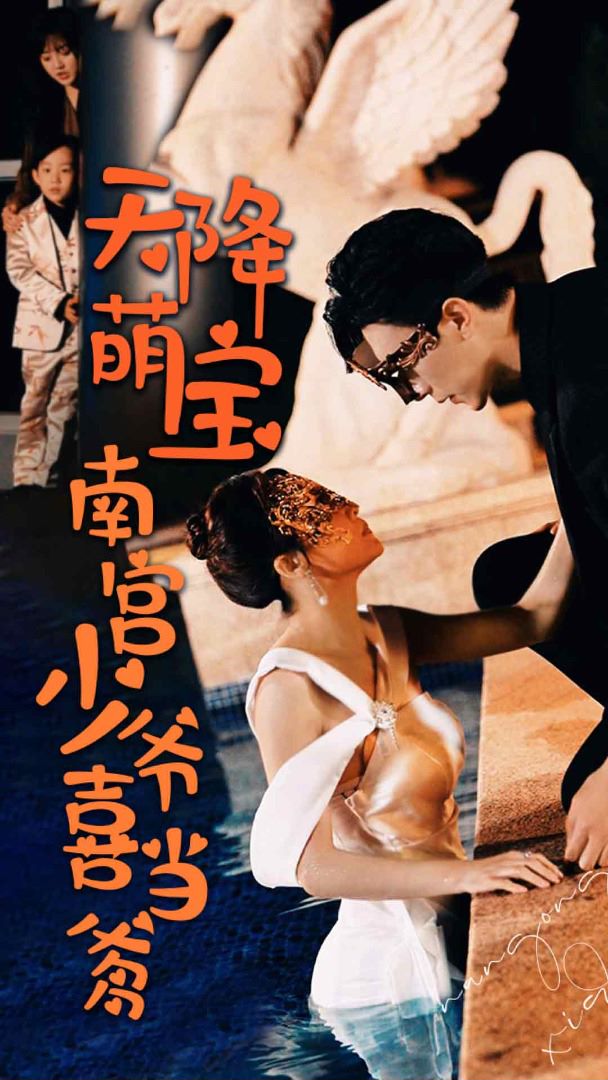 天降萌宝：南宫少爷喜当爹的海报