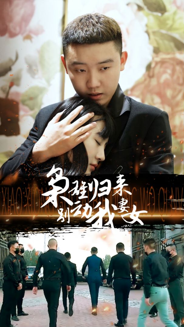 枭雄归来别动我妻女的海报