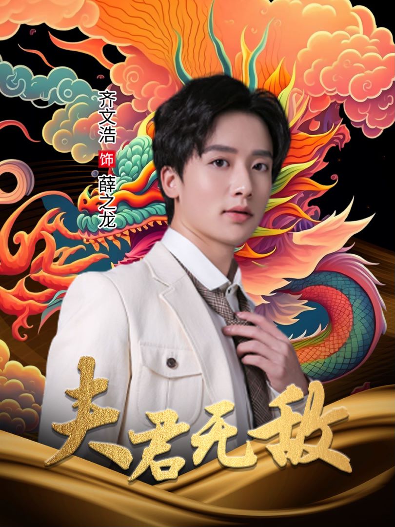 夫君无敌的海报