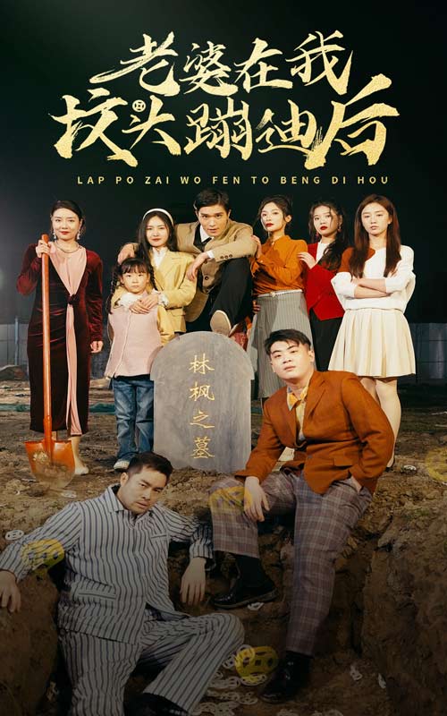 老婆在我坟头蹦迪后的海报