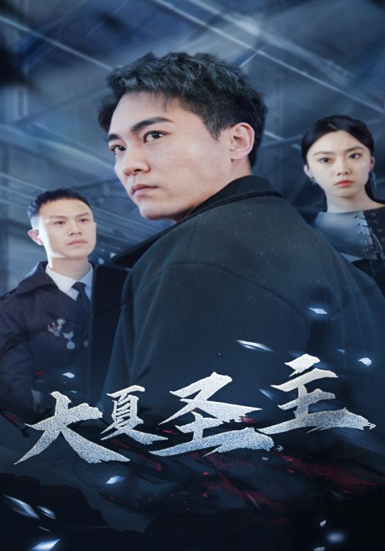 大夏圣主的海报