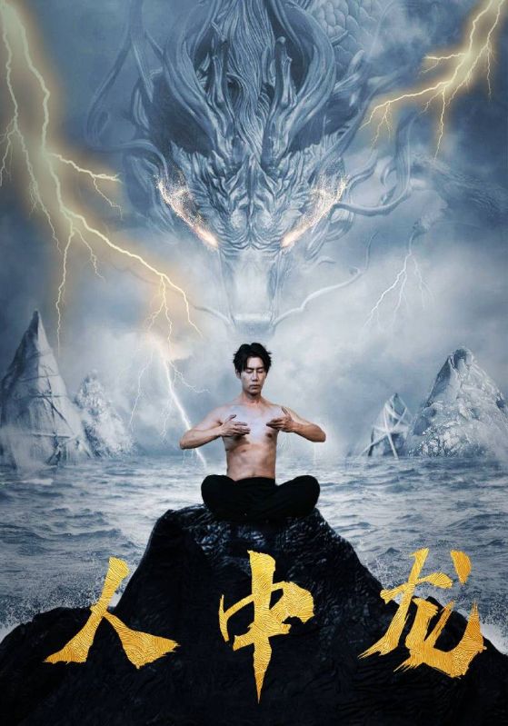 人中龙的海报
