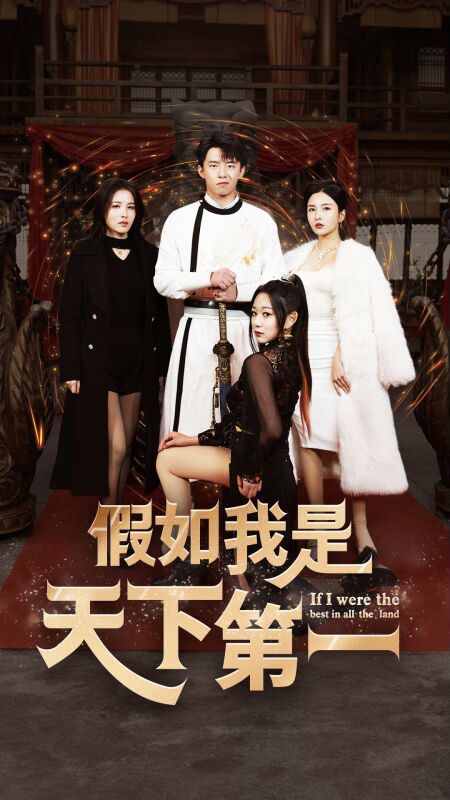 假如我是天下第一的海报