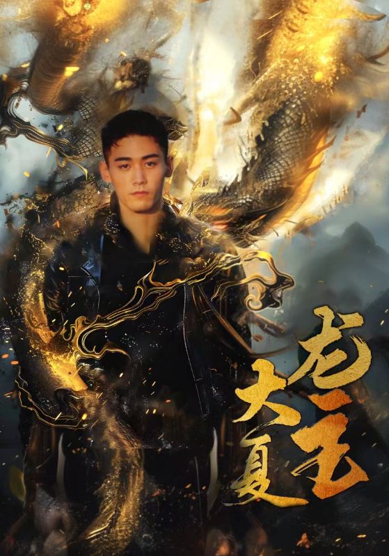 大夏龙主的海报