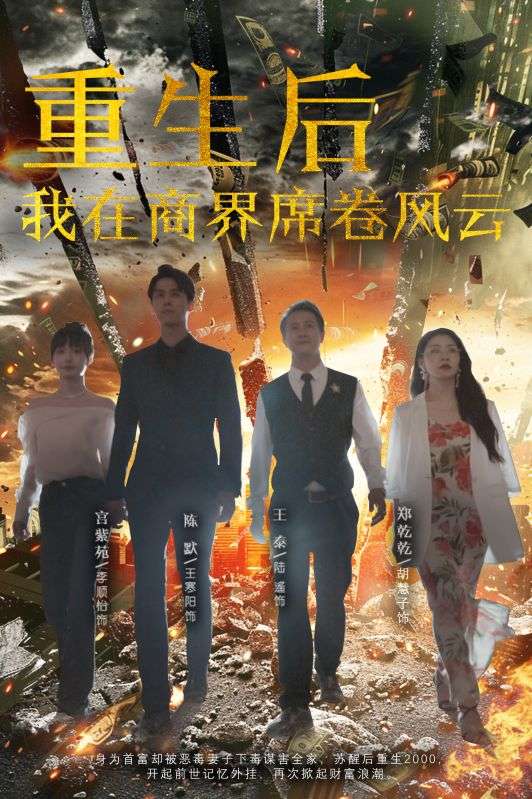 重生后我在商界席卷风云的海报