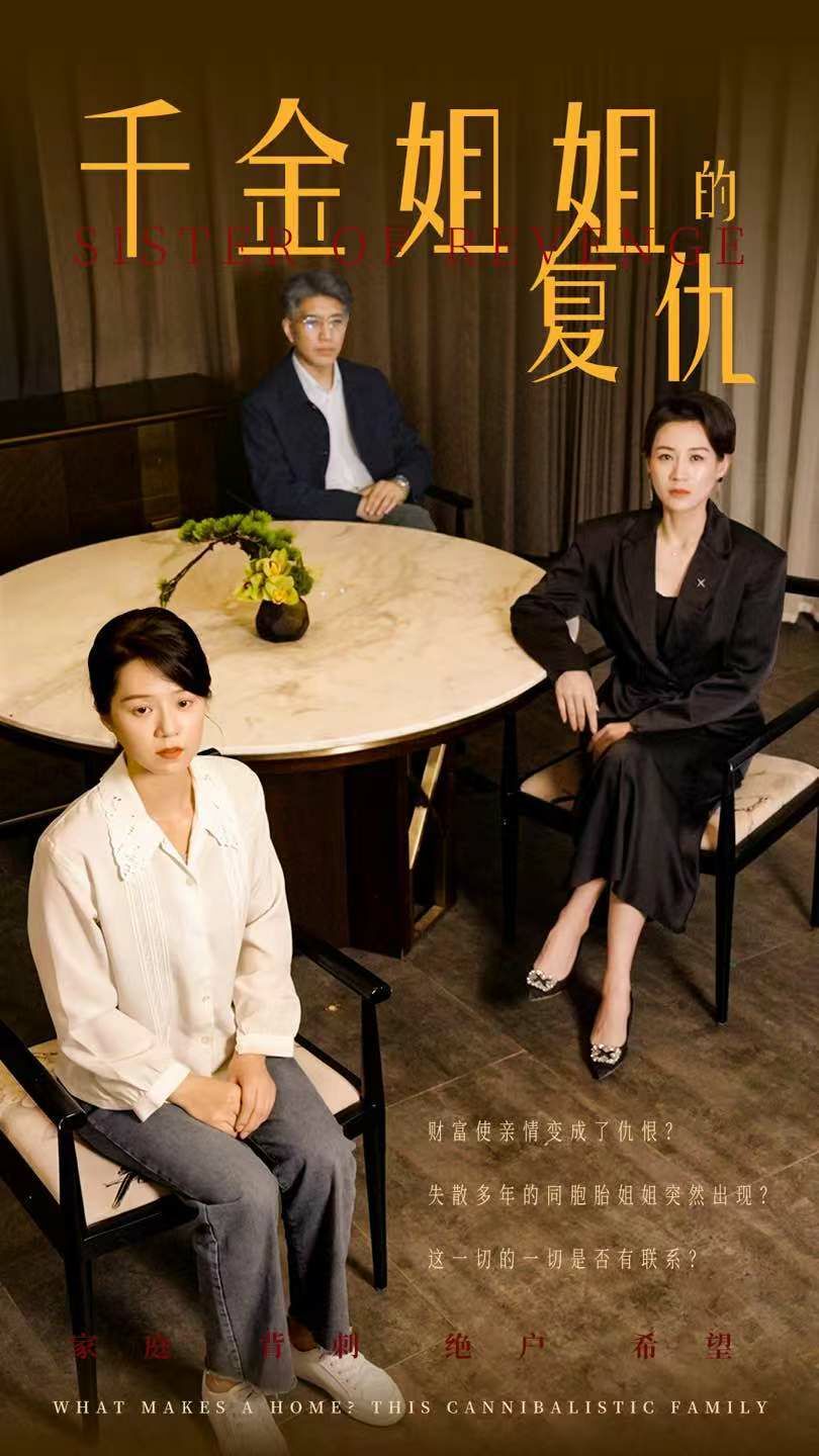 千金姐姐的复仇的海报