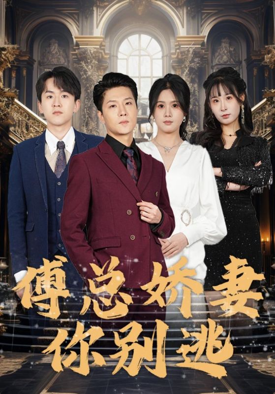 傅总娇妻你别逃的海报