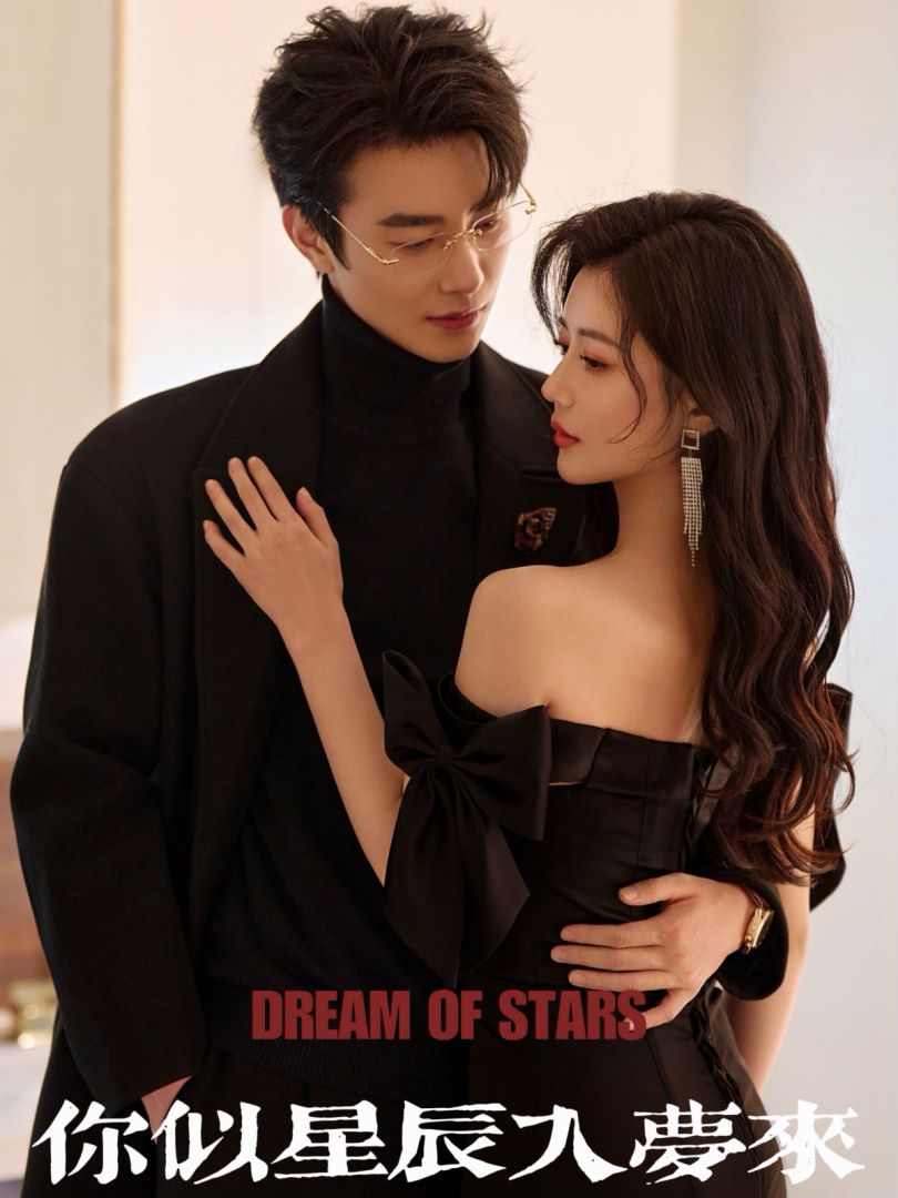 你似星辰入梦来的海报