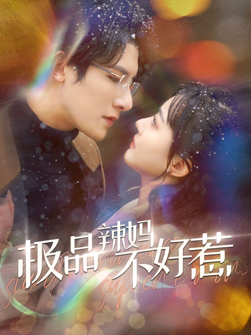 极品辣妈不好惹的海报