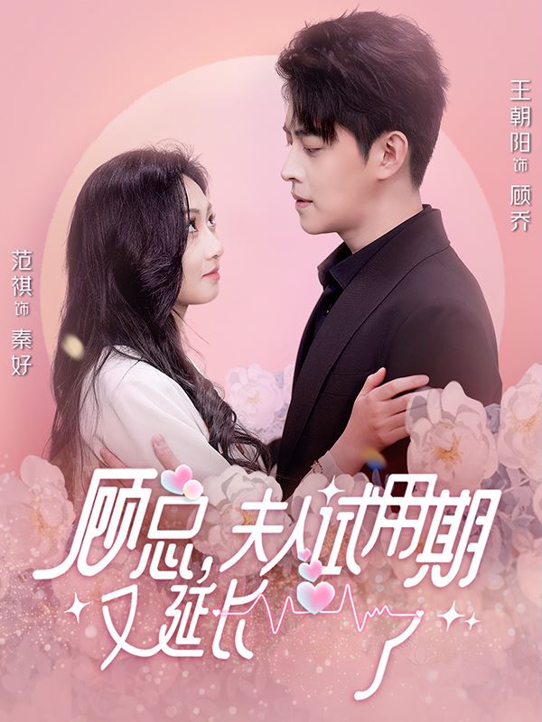 顾总，夫人试用期又延长了的海报