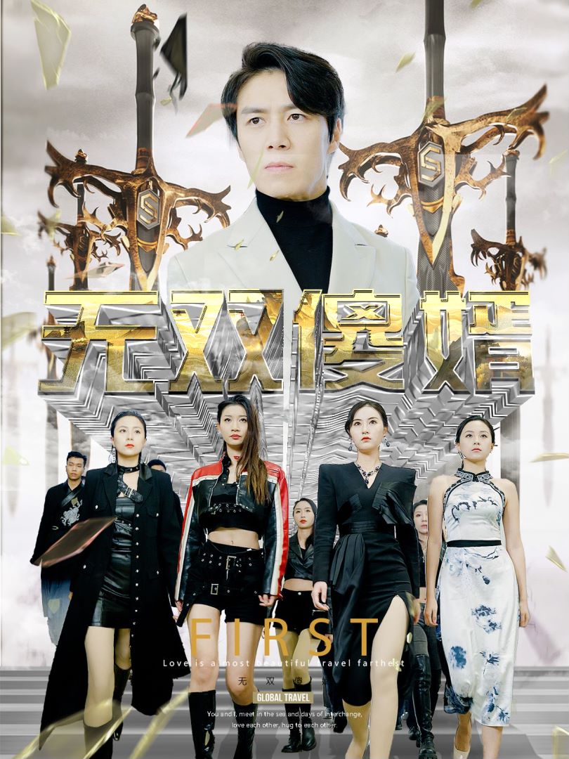 无双傻婿的海报